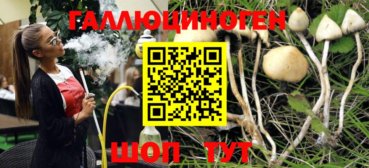 купить   Псилоцибиновые грибы мицелий  Вход с VPN  Галлюциногенные грибы мухоморы  Краснокамск 